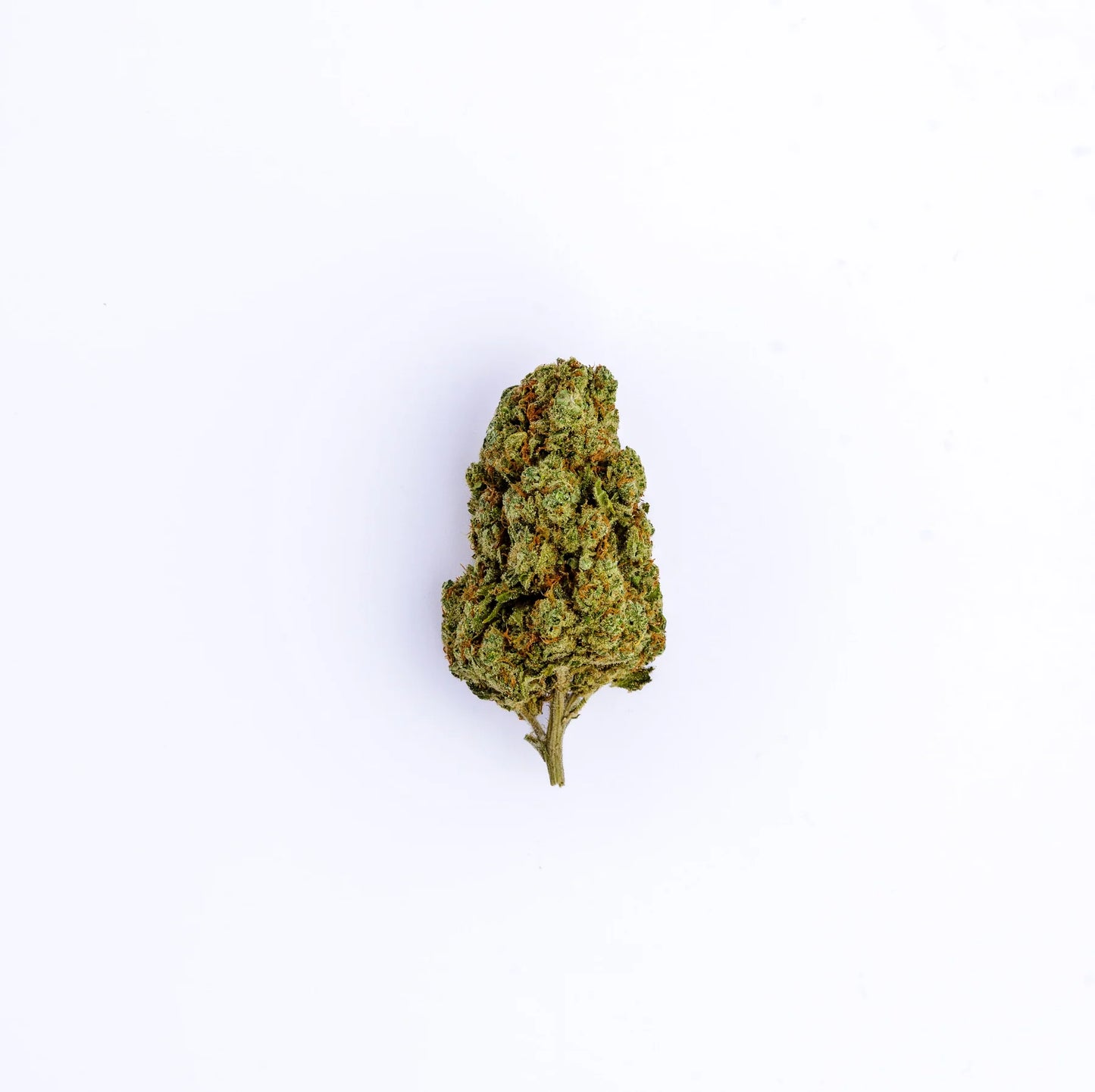 Flor CBD Amnesia