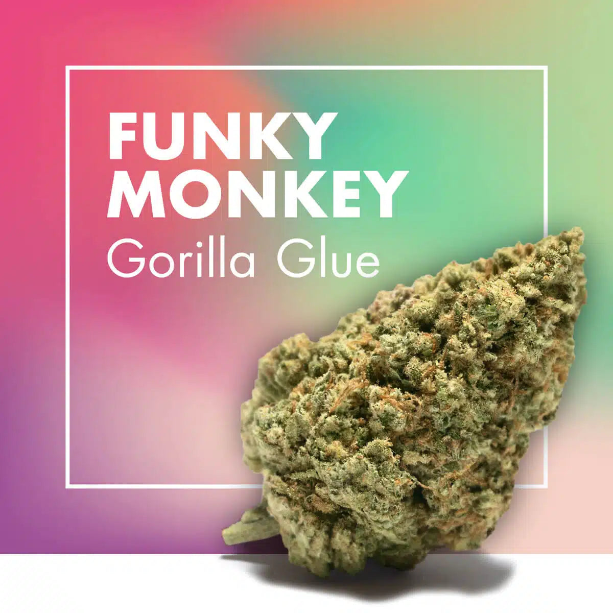 Flor CBD Funky Monkey