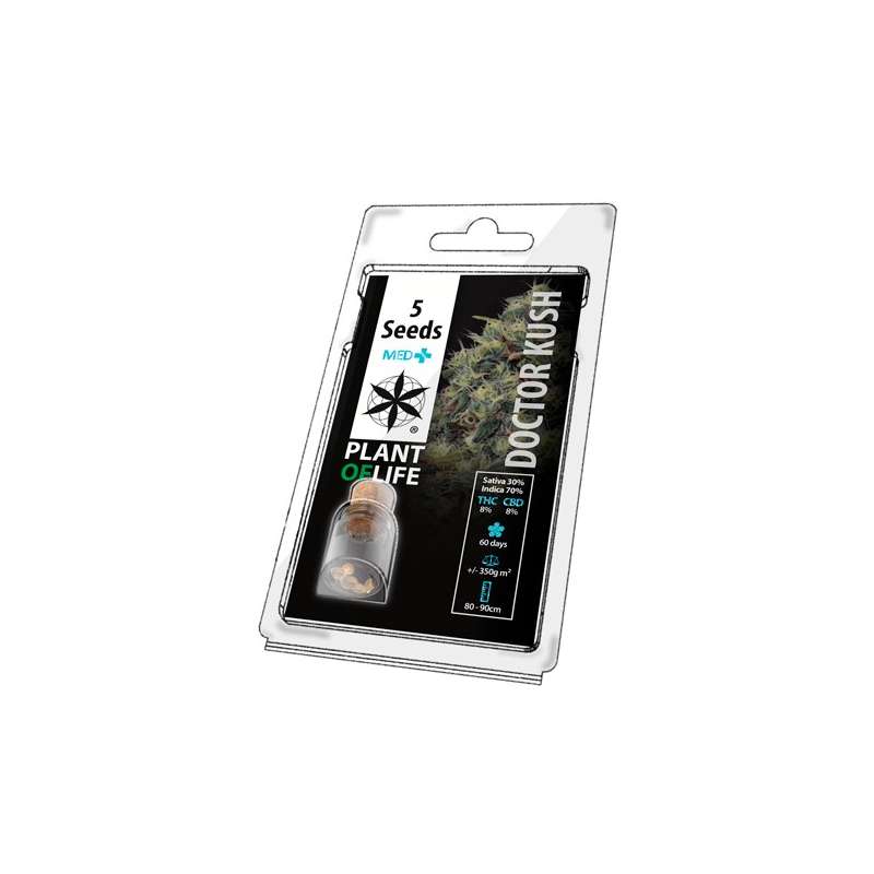 Semillas DR. Kush 5 unidades