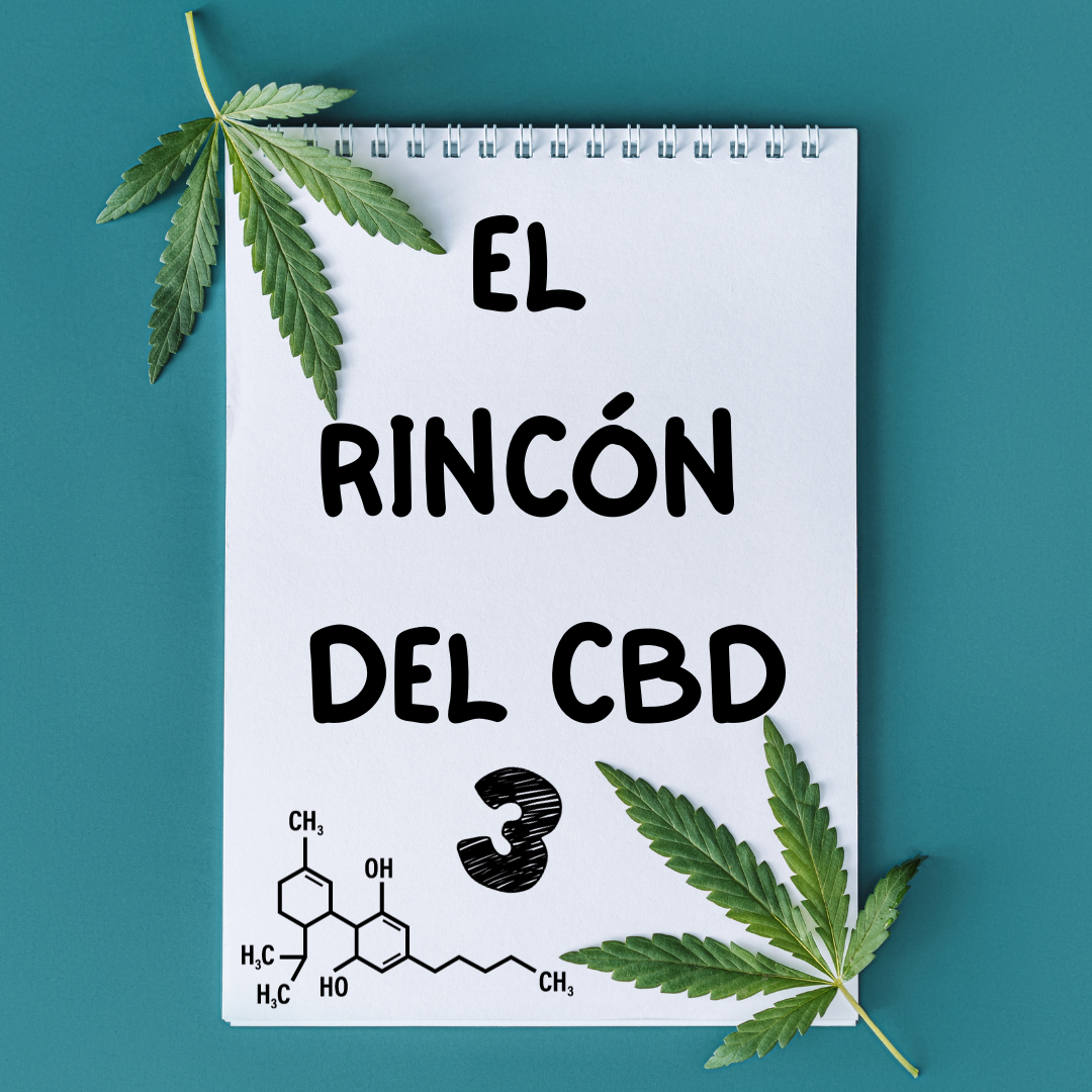 El Rincon del CBD, el ABC del CBD III: Como funciona el CBD