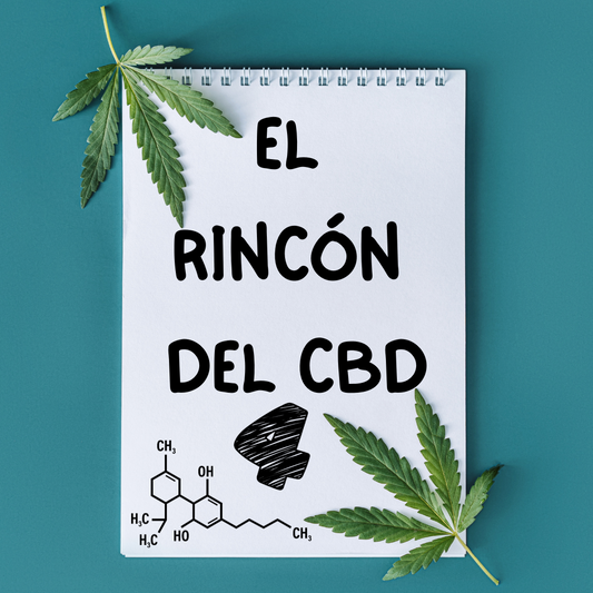 El Rincón del CBD, el ABC del CBD IV: Productos de CBD