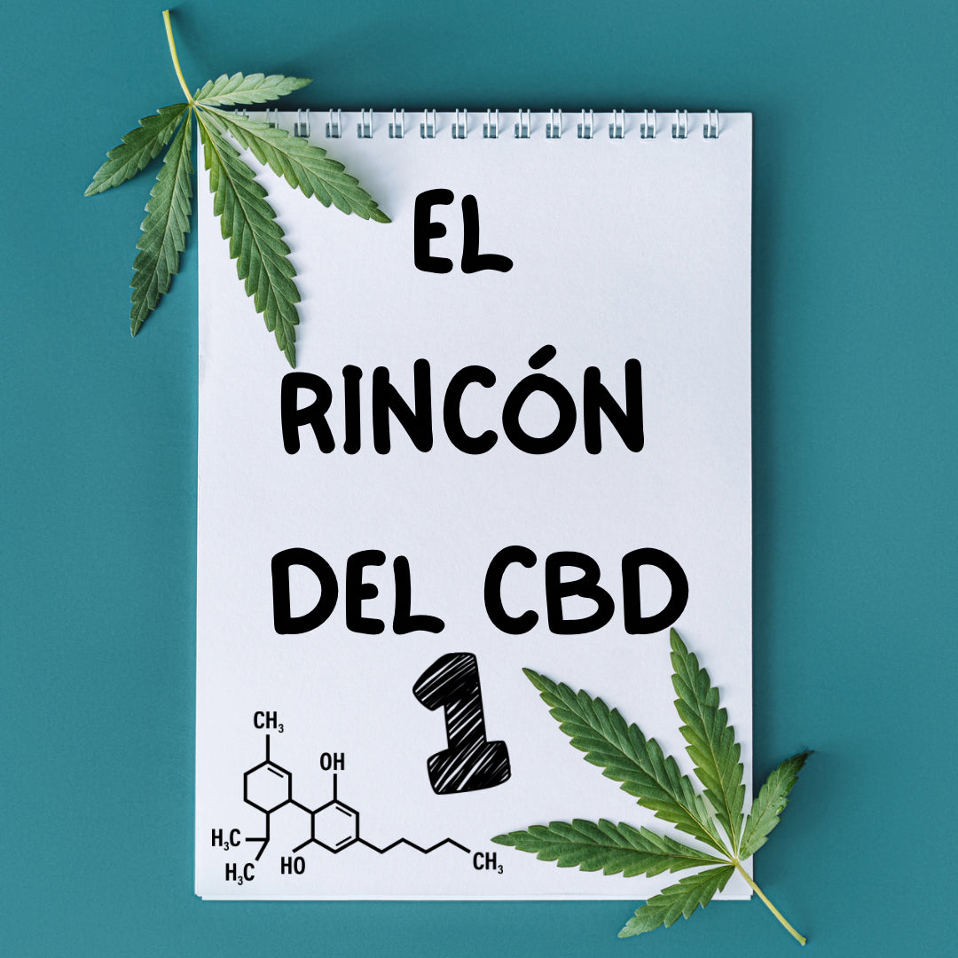 El Rincón del CBD, EL ABD del CBD I : Introducción al CBD