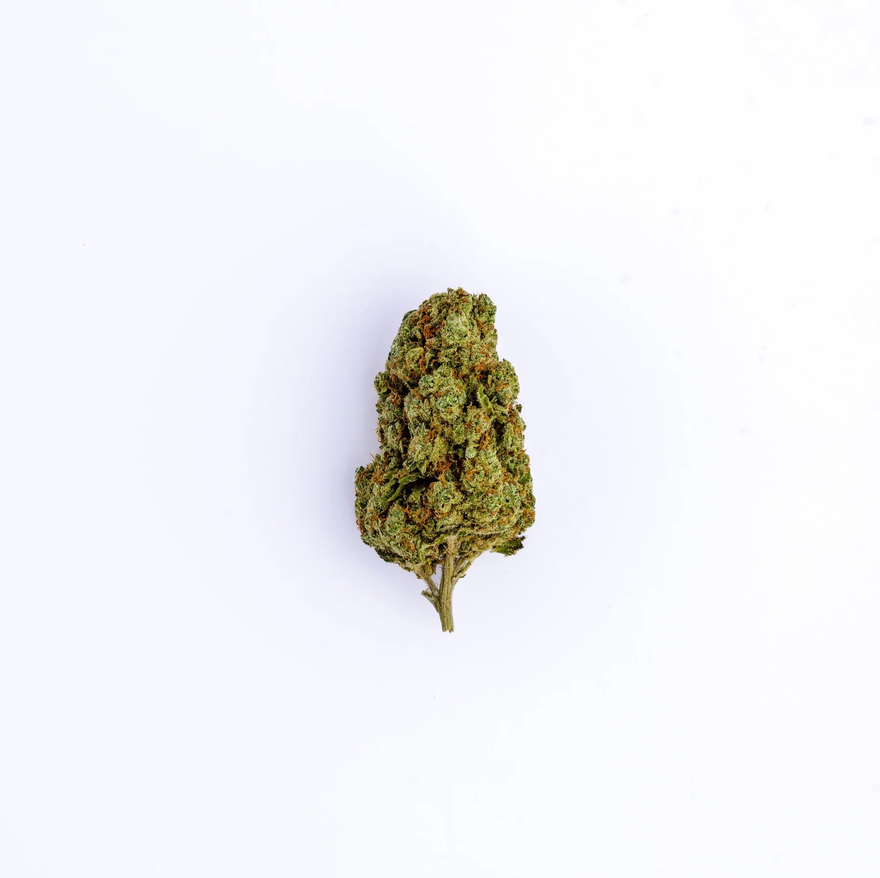Flor CBD Amnesia