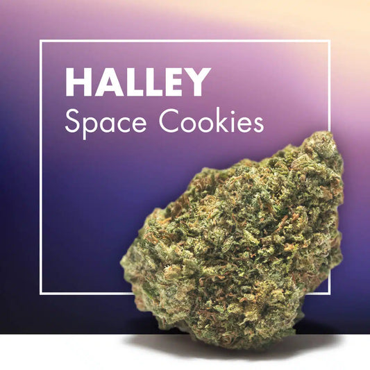 Flor CBD Halley