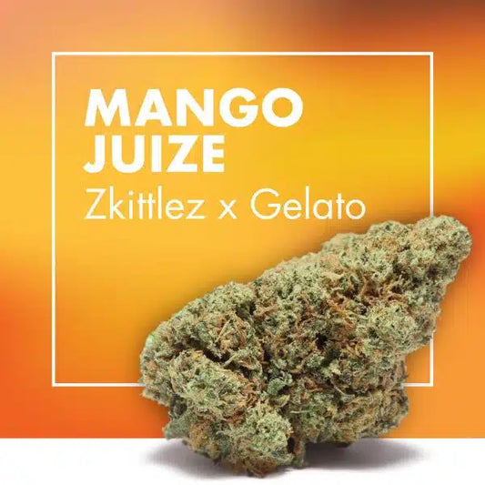 Flor CBD Mango Juize