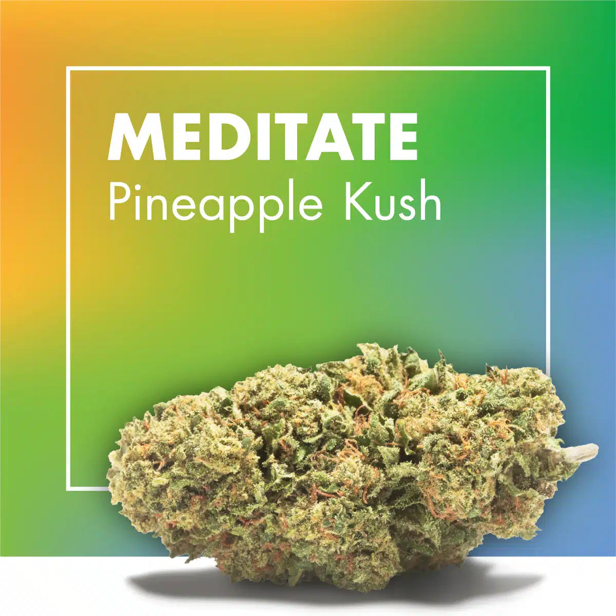 Flor CBD Meditate Pineapple Kush