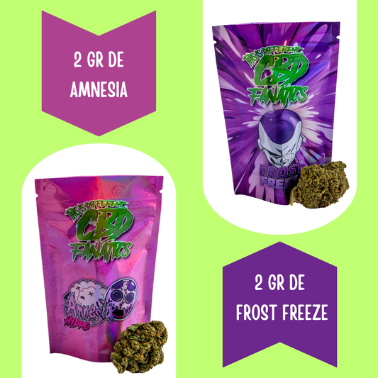 Pack Hydro Indoor CBD