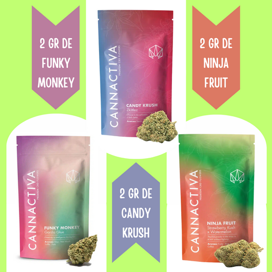 Pack flor CBD glasshouse 2 gramos
