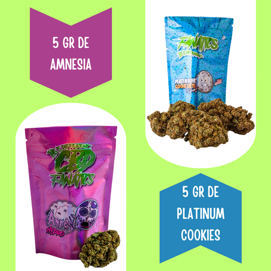 Pack Flores CBD Hydro 5 gramos
