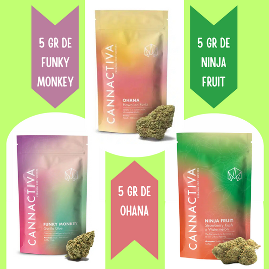 Pack flores CBD glasshouse 5 gramos