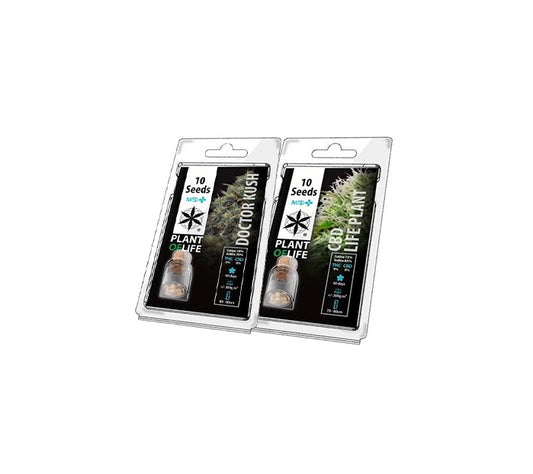 Pack semillas CBD 10 ud.