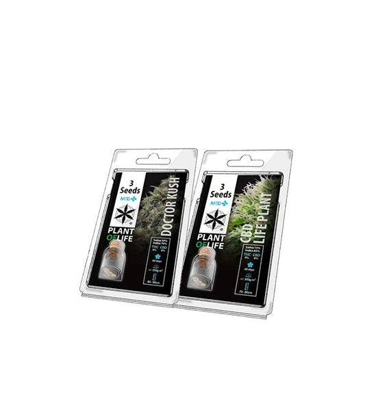 Pack semillas CBD 3 ud.