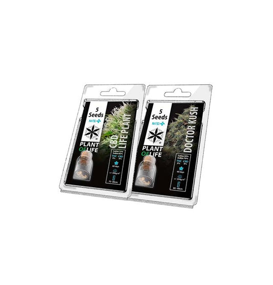 Pack semillas CBD 5 ud.