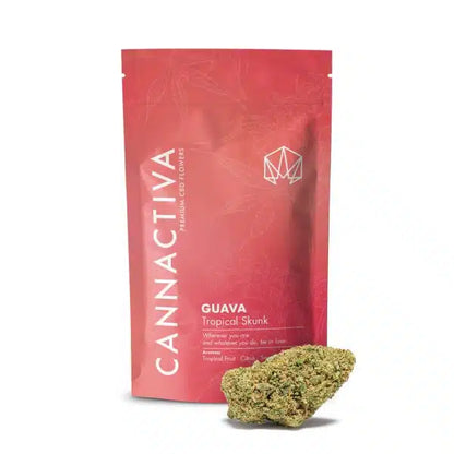 GUAVA (Tropical Skunk) (2 gr, 5 gr, 10 gr)