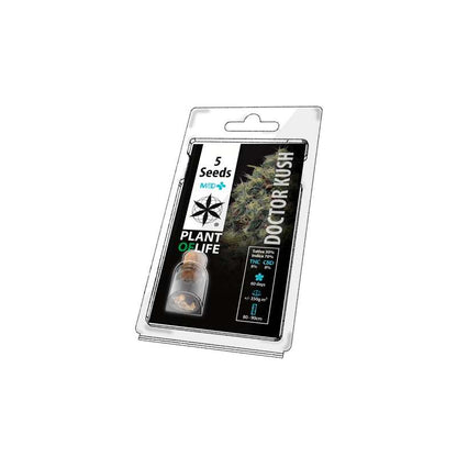Semillas DR. Kush 5 unidades