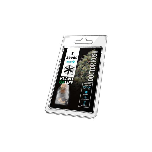 Semillas DR. Kush 5 unidades